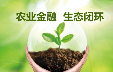 信和大金融 结合三位一体政策，擘画农业四步战略新蓝图——青海新闻网金融产业速递