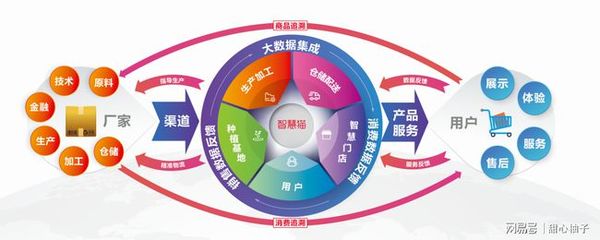 拿好山东智慧猫教你4大创业加盟指南,开一家便利店不用愁